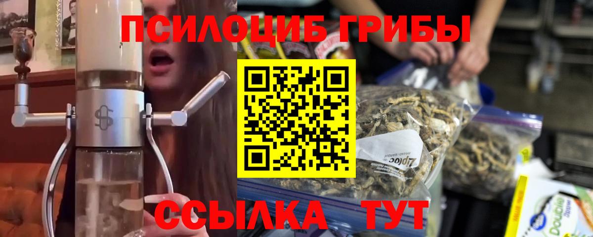 Тара  Псилоцибиновые грибы GOLDEN TEACHER  Вход с VPN 